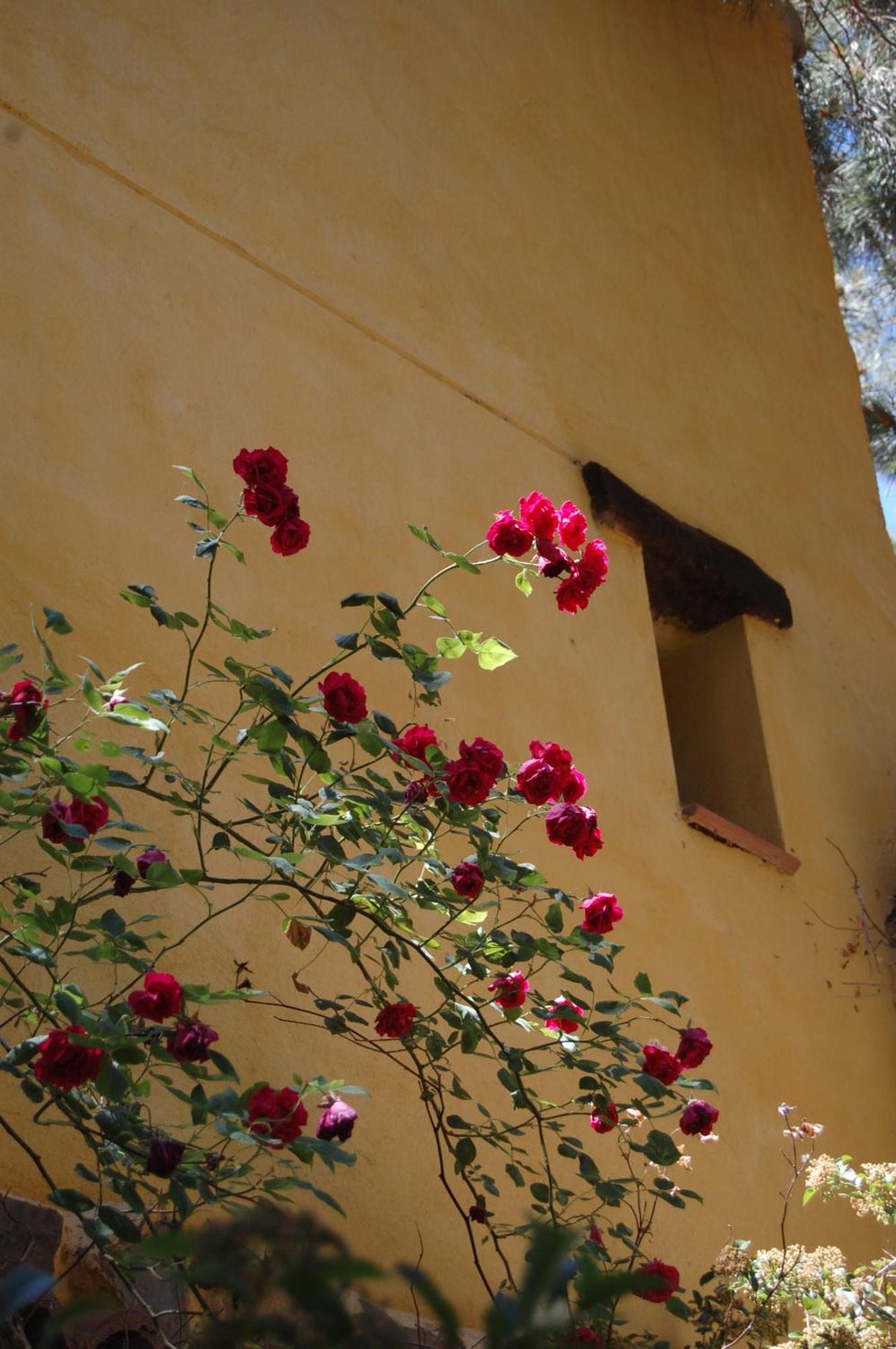 Rural Arco Iris Cuenca Hotel Cuenca  Ngoại thất bức ảnh